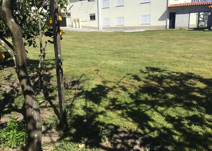 Ribeiro Pilgrims Way To Santiago Bike A Garage For Marinhas * 에스포센데