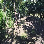 Ribeiro Pilgrims Way To Santiago Bike A Garage For Marinhas منزل للإقامة إسبونسيندي