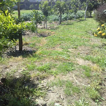 Ribeiro Pilgrims Way To Santiago Bike A Garage For Marinhas Homestay Esposende