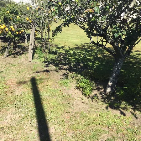 Проживание в семье Room Solo - Villa Ribeiro On Way To Santiago With Secure Bike Garage - Esposende Эшпозенди