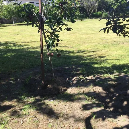 Room Solo - Villa Ribeiro On Way To Santiago With Secure Bike Garage - Esposende Эшпозенди