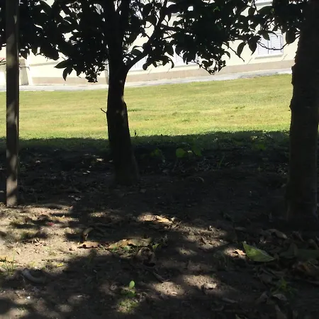 홈스테이 Room Solo - Villa Ribeiro On Way To Santiago With Secure Bike Garage - Esposende
