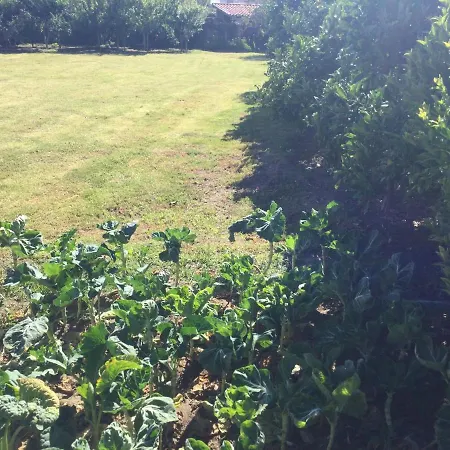 Ribeiro Pilgrims Way To Santiago Bike A Garage For Marinhas Kwatera prywatna