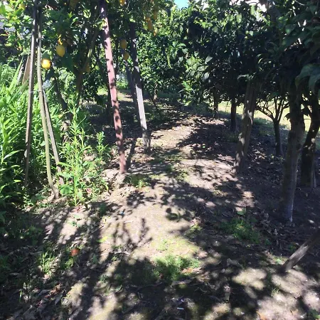 Ribeiro Pilgrims Way To Santiago Bike A Garage For Marinhas Homestay Esposende