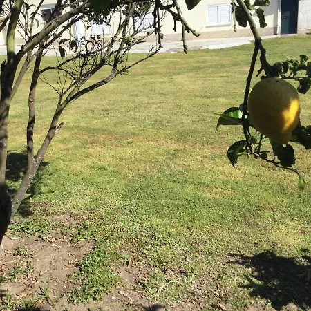 Kwatera prywatna Ribeiro Pilgrims Way To Santiago Bike A Garage For Marinhas Esposende