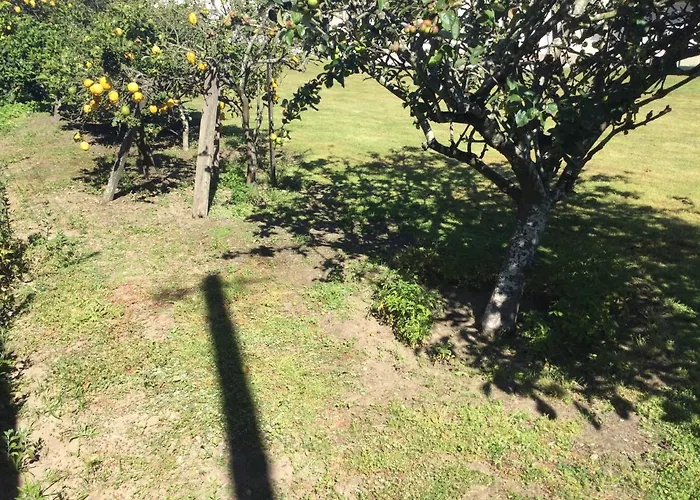 Δωμάτια σε οικογενειακή κατοικία Ribeiro Pilgrims Way To Santiago Bike A Garage For Marinhas Εσποσέντε