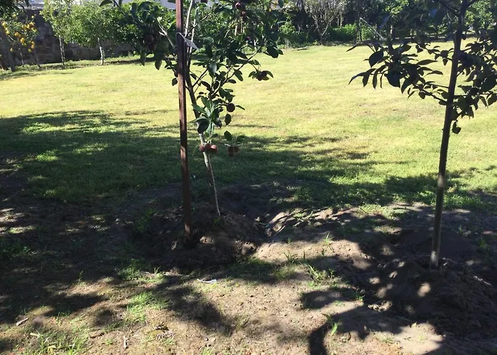 Ribeiro Pilgrims Way To Santiago Bike A Garage For Marinhas Εσποσέντε