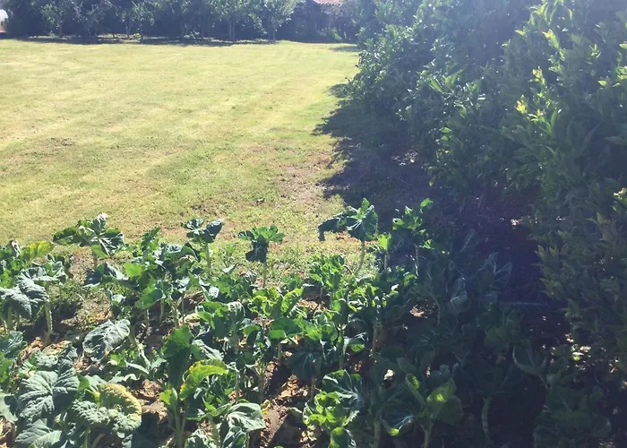 Ribeiro Pilgrims Way To Santiago Bike A Garage For Marinhas Δωμάτια σε οικογενειακή κατοικία