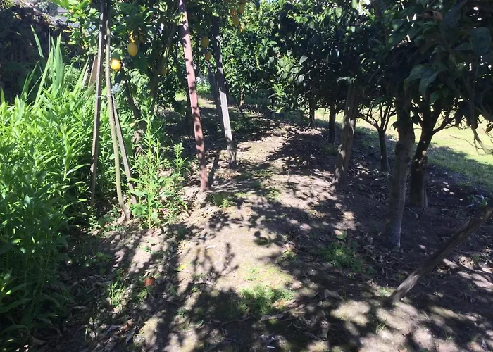 Ribeiro Pilgrims Way To Santiago Bike A Garage For Marinhas Δωμάτια σε οικογενειακή κατοικία Εσποσέντε