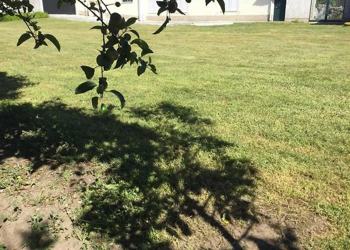 Ribeiro Pilgrims Way To Santiago Bike A Garage For Marinhas