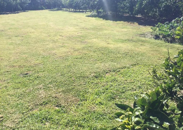 Ribeiro Pilgrims Way To Santiago Bike A Garage For Marinhas *