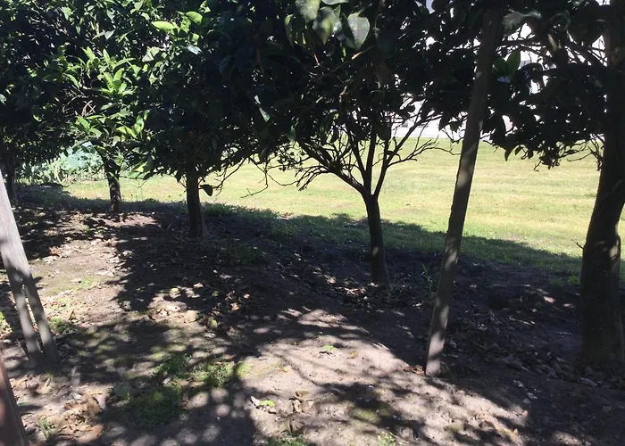 Ribeiro Pilgrims Way To Santiago Bike A Garage For Marinhas Esposende