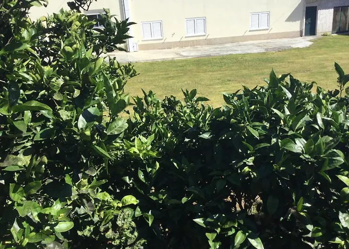 Ribeiro Pilgrims Way To Santiago Bike A Garage For Marinhas Privatunterkunft