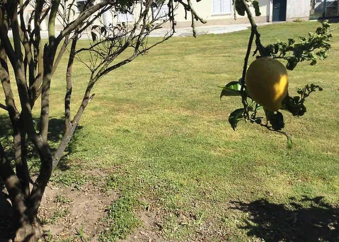 Privatunterkunft Ribeiro Pilgrims Way To Santiago Bike A Garage For Marinhas Esposende
